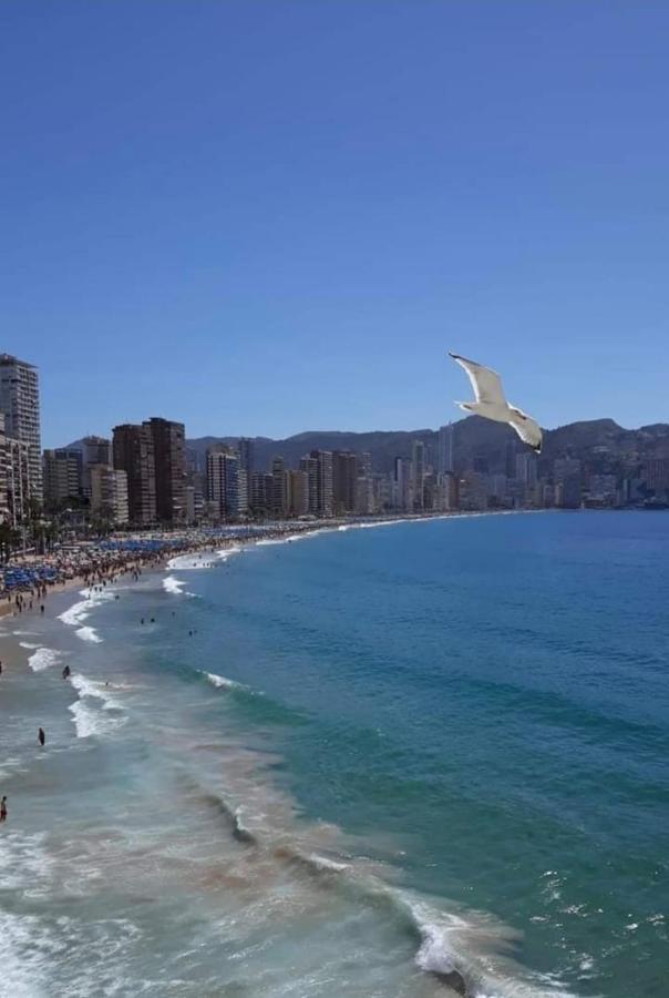 San Remo Levante Beach Apartments Benidorm Exteriör bild